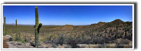 "saguaro vista 2"
saguaro national park